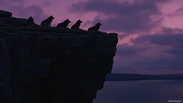 Cliffside wolves under dusk sky with stars appearing.