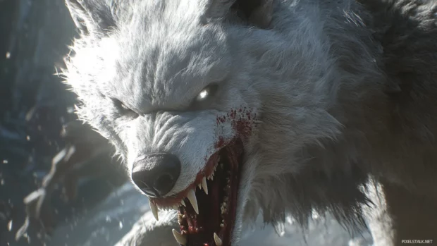 Close up of an enraged white wolf with tense muscles and sharp teeth visible.