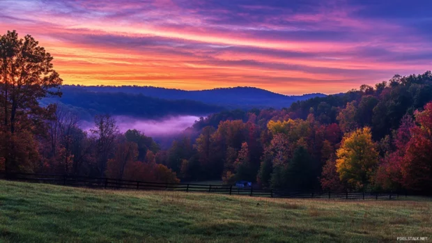 Colorful sunrise glows behind a peaceful forest line.