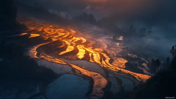 Early morning light cascading over rice terraces.