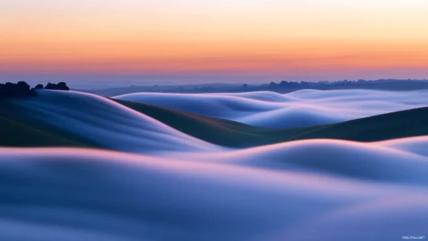 Fields shrouded in morning fog beneath a glowing sunrise wallpaper with fog.