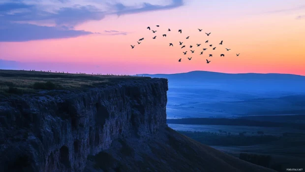 From a high cliff, birds take flight as dawn breaks across the vast landscape.