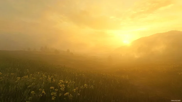 Golden mist swirls above the grassy fields at sunrise.