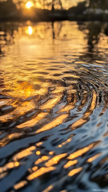 Golden reflections dance on lake ripples at sunrise.
