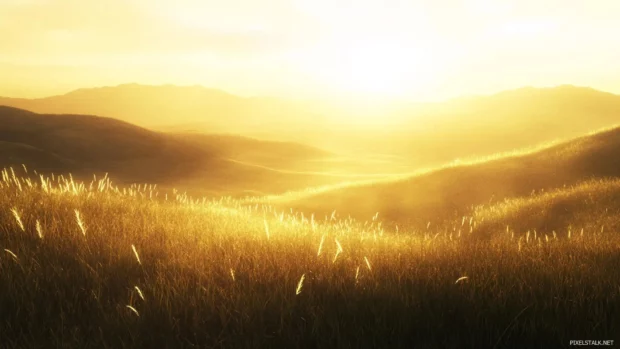 Golden sunrise casting long shadows across grassy hills.
