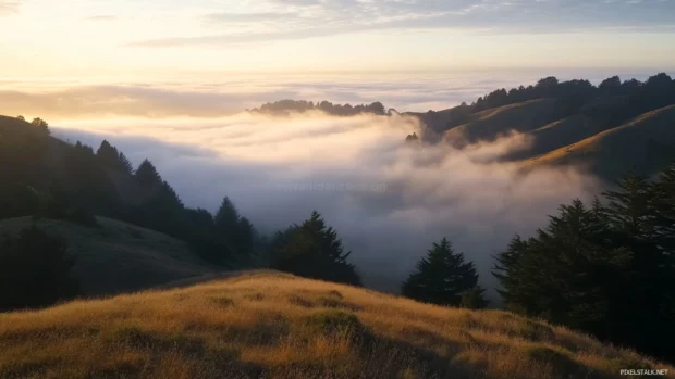 Layers of fog and light stretch across distant meadows.