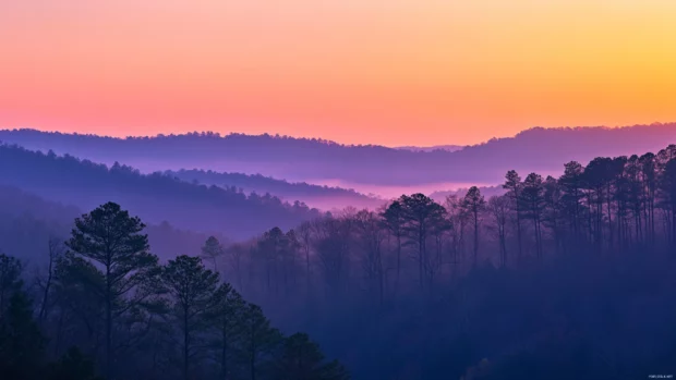 Layers of trees glowing under a bright sunrise wallpaper in forest scene.