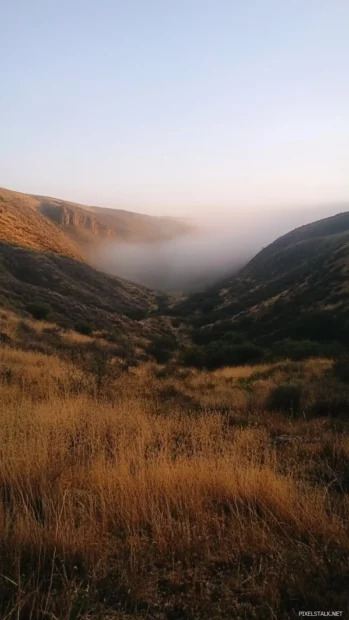 Low fog diffuses morning light in a hidden valley sunrise.