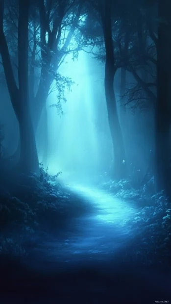 Magical light rays beaming through foggy forest for Light Wallpaper for iPhone.