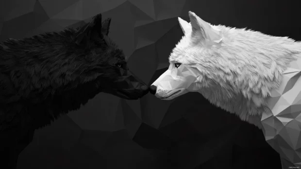 Minimalist wolf wallpaper black and white with a geometric design of two wolves facing each other.