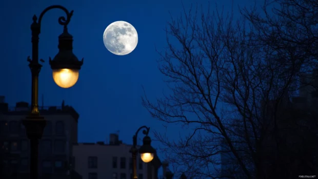 Moonlight joins the streetlamps over New York City rooftops.
