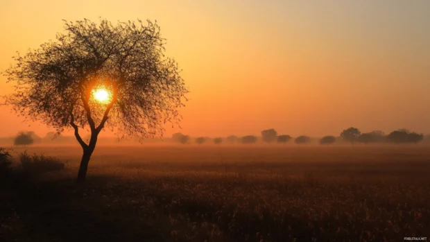 Morning spreads warmth across dry open lands.