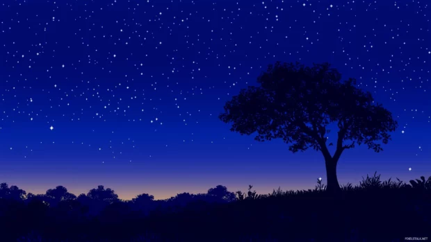 Night sky, calm, tree outline, stars twinkle, Milky Way shines.