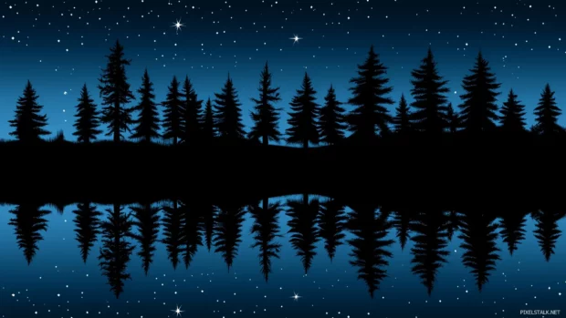 Night sky stars shine, mirror on lake, dark forest outline.