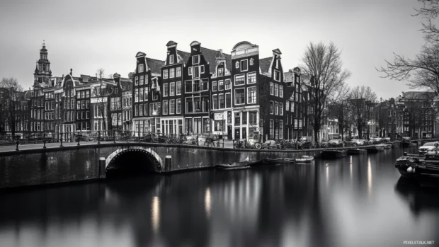 Old European architecture captured in black and white city wallpaper.