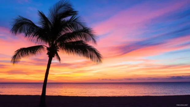Palm tree silhouette with colorful sunset sky and sandy foreground.