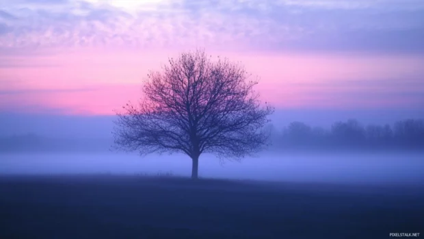 Quiet dawn with layered fog in a scenic sunrise wallpaper with fog.