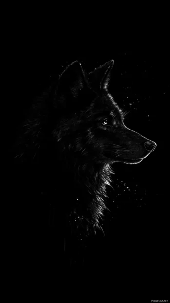 Realistic black wolf wallpaper for iPhone showing a side profile of a wolf with glistening fur.