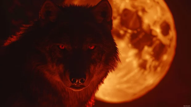 Red wolf wallpaper showing a fierce crimson wolf under the glow of a blood moon.