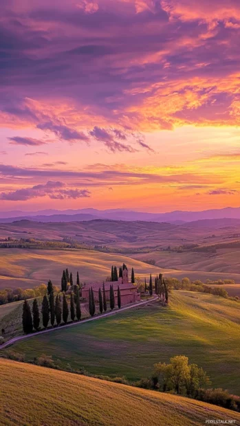 Rolling hills under dramatic sky in vertical sunrise view.