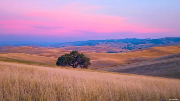 Serene fields under a blushing sky in this Sunrise Wallpaper for Macbook.