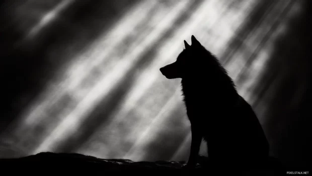Silhouette of a black wolf under a vertical beam of light, minimal and centered.