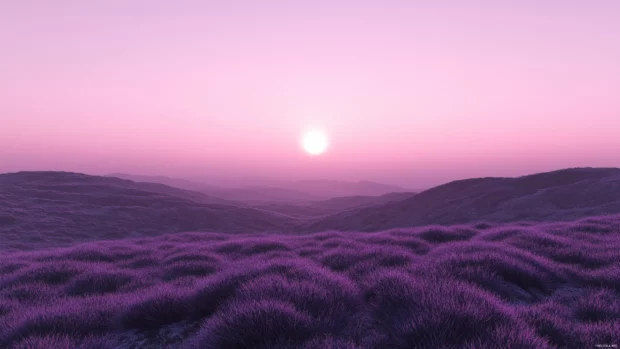 Stunning purple dawn sky, lilac violet hues light horizon.
