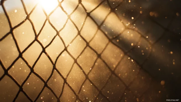 Sunbeams shining through baseball netting and dust.