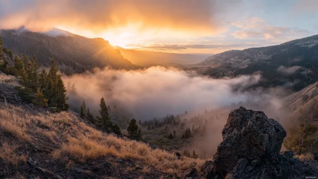 Sunrise casting golden light across foggy valley.