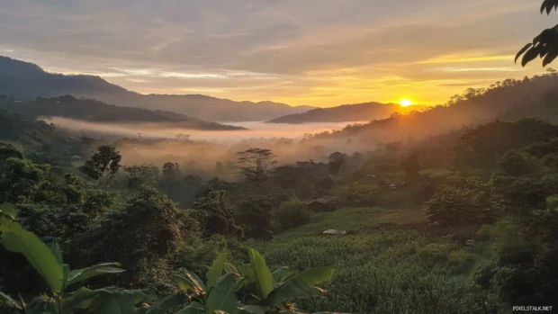 Sunrise spreading light over a mist covered valley.