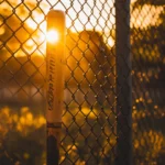 Sunset casting golden light on a baseball bat by the fence.