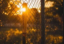 Sunset casting golden light on a baseball bat by the fence.