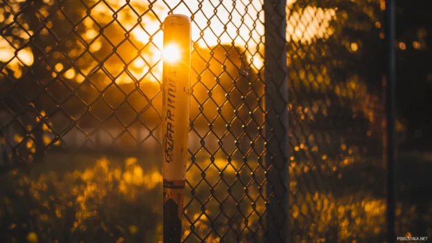 Sunset casting golden light on a baseball bat by the fence.