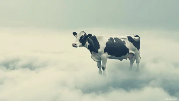 Surreal cow floating among clouds in fantasy field.