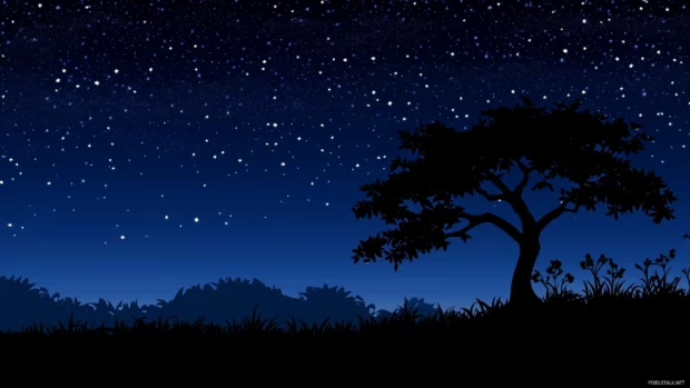 Tranquil night sky, lone tree silhouette, twinkling stars, Milky Way backdrop.