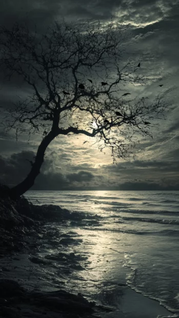 Twilight scene enriched with layered Light textures.