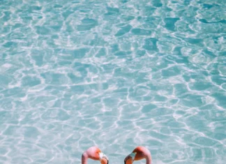 Two flamingos side by side in shallow water, shadows stretching at sunset.