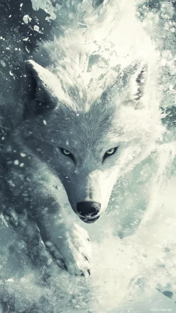 White wolf dashes through snow, vertical frame captures focused expression.