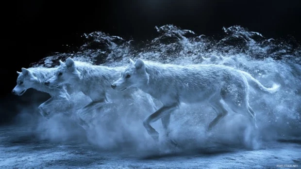 Wolves charge forward mid run, snow spraying around in motion wallpaper.