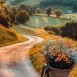 A bicycle with a flower basket rides through Summer Vibes on a countryside road.