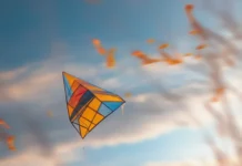 A boy with a playful smile, running through a field of tall grass with a colorful kite soaring in the sky.