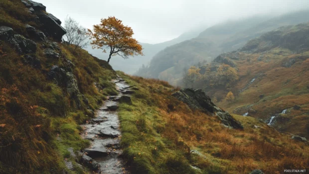 A charming woodland path perfect for Pretty autumn mountains wallpaper, cascading down rugged rocky slopes.