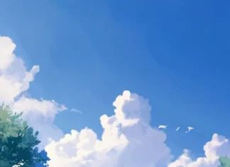 A clean summer wallpaper featuring light lavender fields.