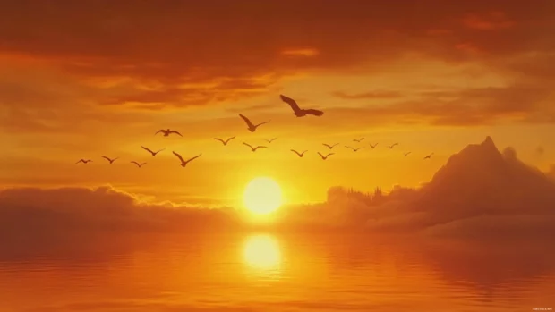A flock of birds soar across a golden sunrise horizon.