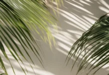 A fresh, minimal setup combining pale beach scenes, soft hued tropical plants, and playful summer icons.