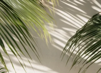 A fresh, minimal setup combining pale beach scenes, soft hued tropical plants, and playful summer icons.