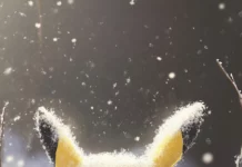 A gentle snowfall covers the field as Pikachu builds a snow Pikachu with care.