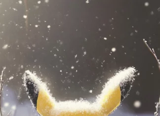 A gentle snowfall covers the field as Pikachu builds a snow Pikachu with care.