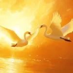 A pair of majestic Swans gliding in front of a golden sunset, perfect for Swans desktop backgrounds.
