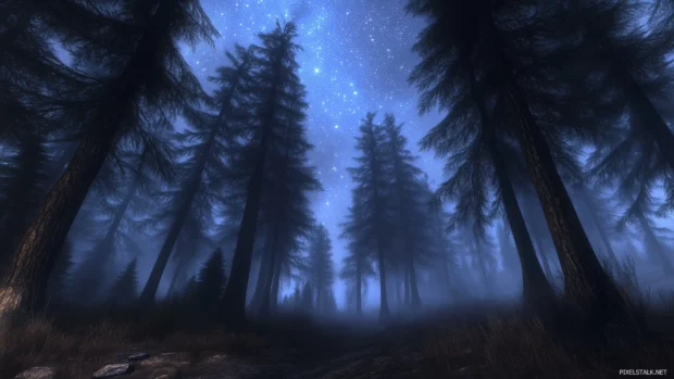 A peaceful forest beneath a starry night sky, the stars glowing brightly above tall pine trees, with a soft mist in the air creating a mystical ambiance.